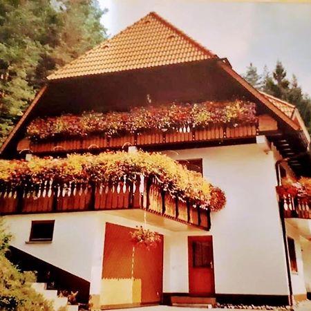 Ferienwohungen Im Kuchersbach Hornberg Exterior foto
