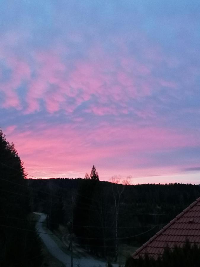 Ferienwohungen Im Kuchersbach Hornberg Exterior foto