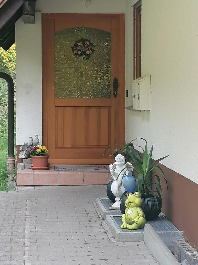 Ferienwohungen Im Kuchersbach Hornberg Exterior foto