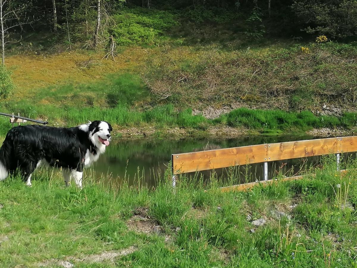 Ferienwohungen Im Kuchersbach Hornberg Exterior foto