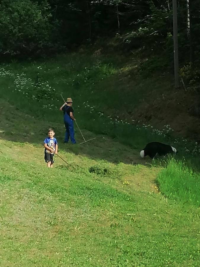 Ferienwohungen Im Kuchersbach Hornberg Exterior foto