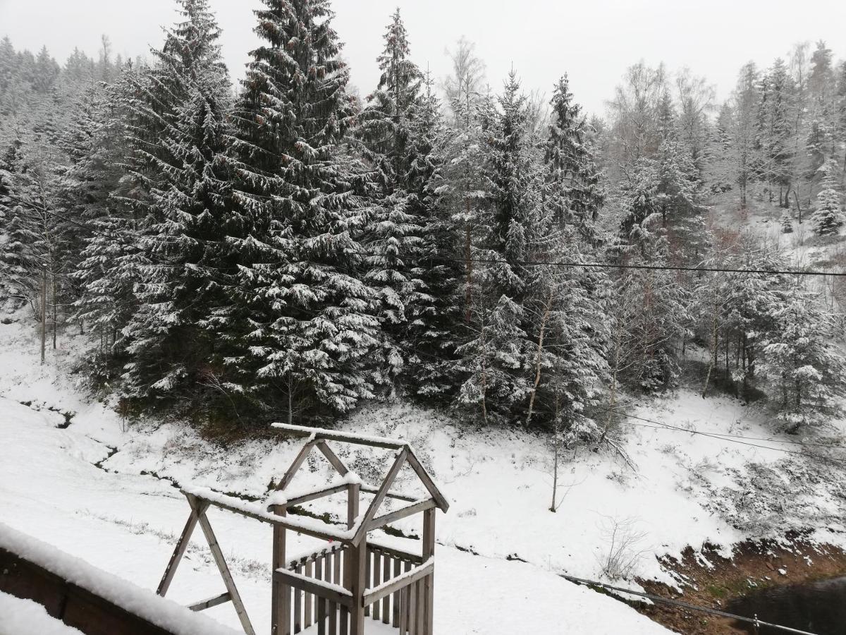 Ferienwohungen Im Kuchersbach Hornberg Exterior foto