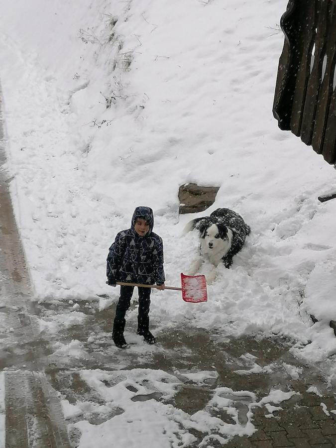 Ferienwohungen Im Kuchersbach Hornberg Exterior foto