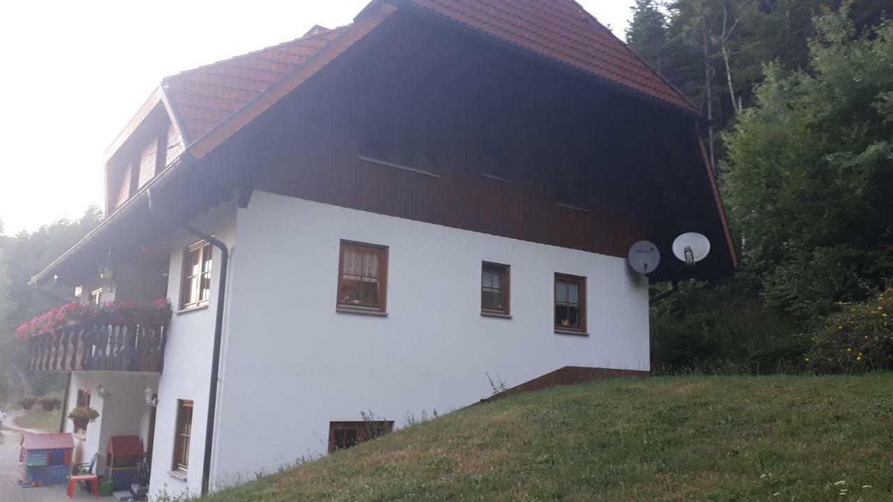 Ferienwohungen Im Kuchersbach Hornberg Exterior foto